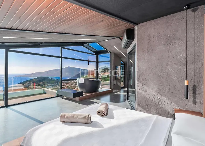 Tekce Mavi Manzara *